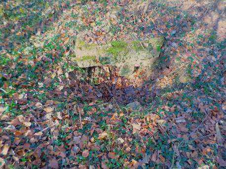 SAMSUNG CAMERA PICTURES